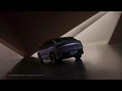 Sea Lion 07 EV 2024 550 Allradantrieb Smart Air Version 5 Türen 5 Sitzplätze SUV