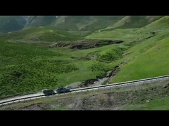 Leopard 5 im Wasser, niemand kann ihn aufhalten.