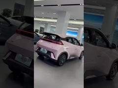 Byd Möwe Rosa